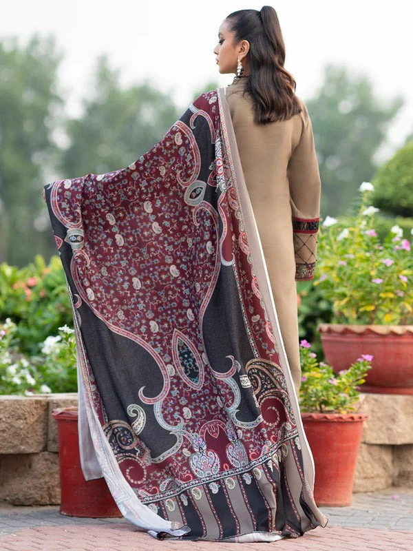 Bin Ilyas Winter Embroidered Dhanak Dress with Printed Shawll 3 Piece WC617 - Image 2