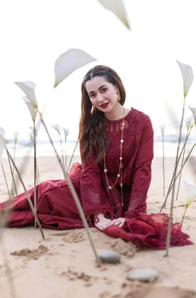 Qalamkaar 3 Piece Unstitched Lawn Embroidered Chicken Kari WC1049 - Image 3