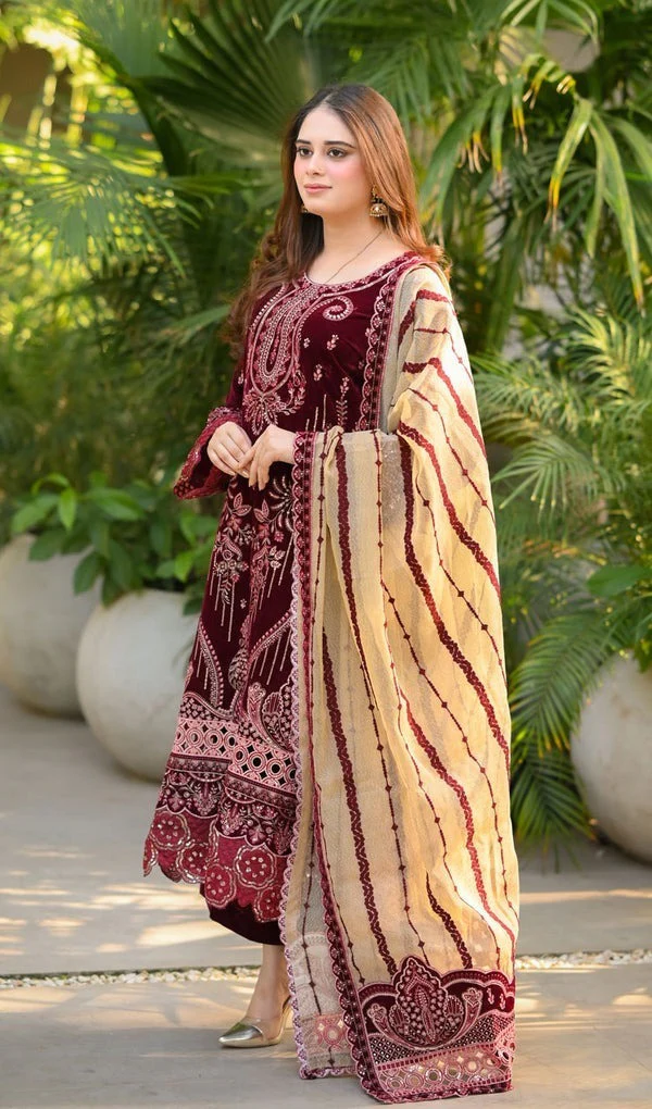 Velvet Embroidered Dress With Organza embroidered Dopata and Silk Trouser WC1240 - Image 3