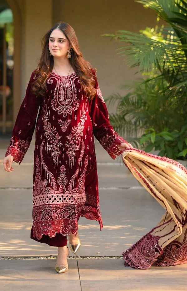 Velvet Embroidered Dress With Organza embroidered Dopata and Silk Trouser WC1240 - Image 4