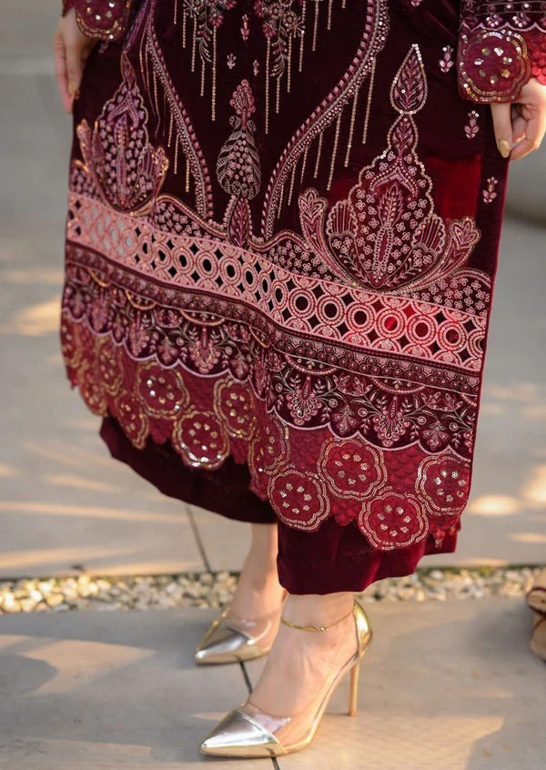 Velvet Embroidered Dress With Organza embroidered Dopata and Silk Trouser WC1240 - Image 5