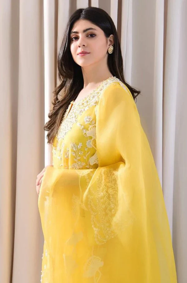 Embroidered Maria B Lawn Dress and Organza Embroidered Dupatta 3 Piece WC040 - Image 4