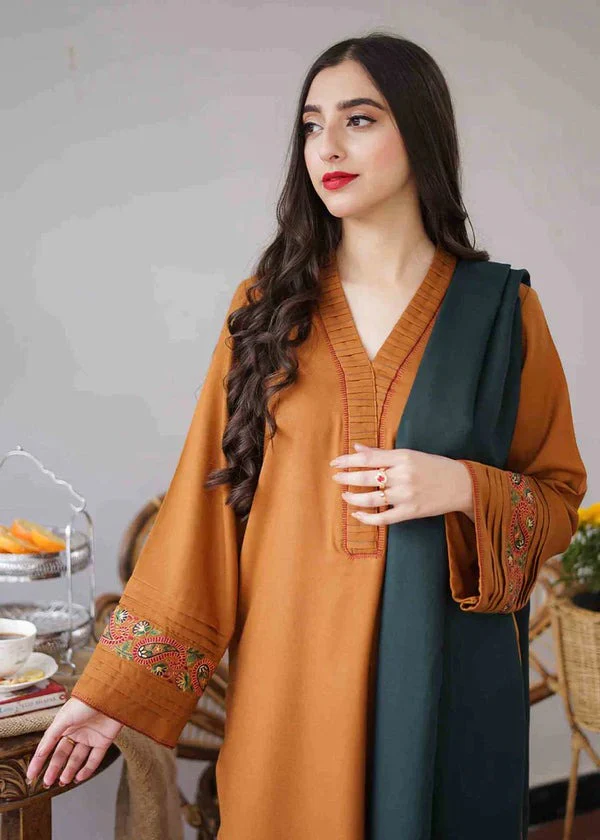 Winter Dhanak Dress with Embroidered Shawll 3 Piece WC400 - Image 3