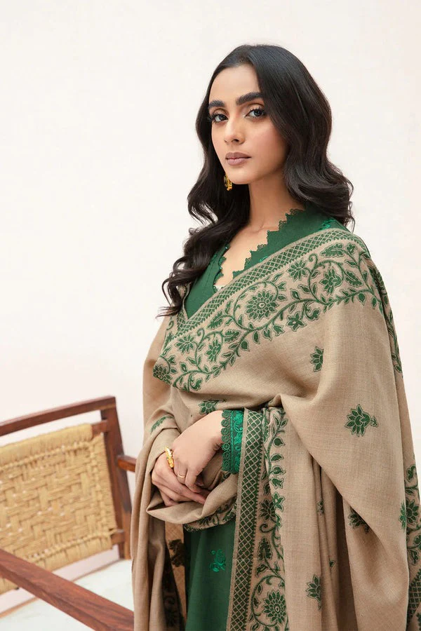 Winter Embroidered Dhanak Dress with Printed Shawll 3 Piece WC553 - Image 3
