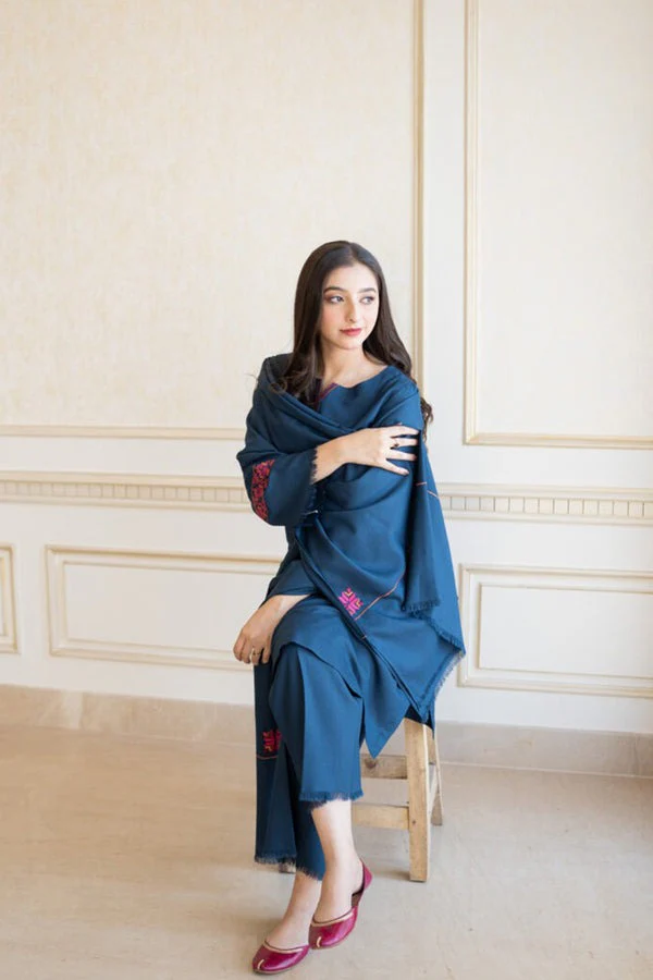 Winter 3 Piece Dhanak Dress with Embroidered Shawll WC615 - Image 4